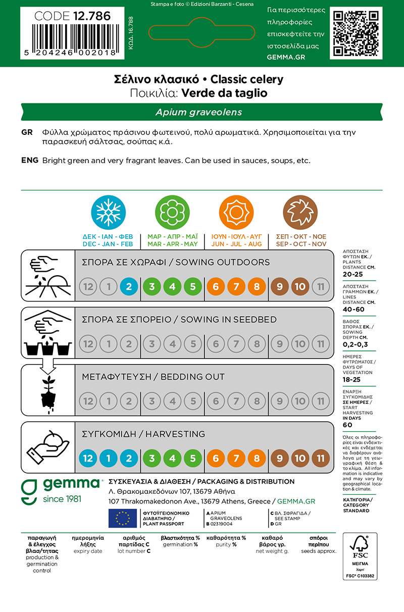 Σέλινο κλασικό · Classic celery - Image 2