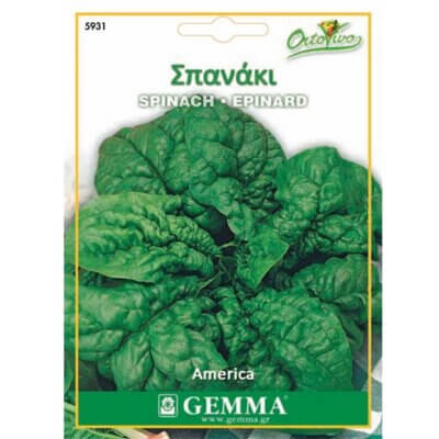 Σπανάκι · Spinach 12791