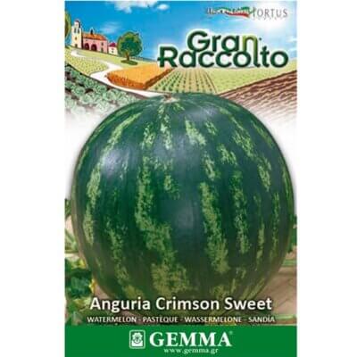 Καρπούζι Grimson sweet raccolto 0086