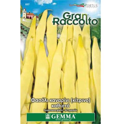 Φασόλι καναρινί νάνο