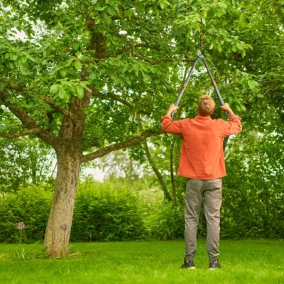 Alternative view of ΚΛΑΔΕΥΤΗΡΙ ΜΑΚΡΙΩΝ ΧΕΙΡΟΛΑΒΩΝ GARDENA TELECUT PRO L (12041-20)