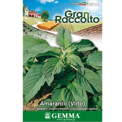 Βλίτο raccolto